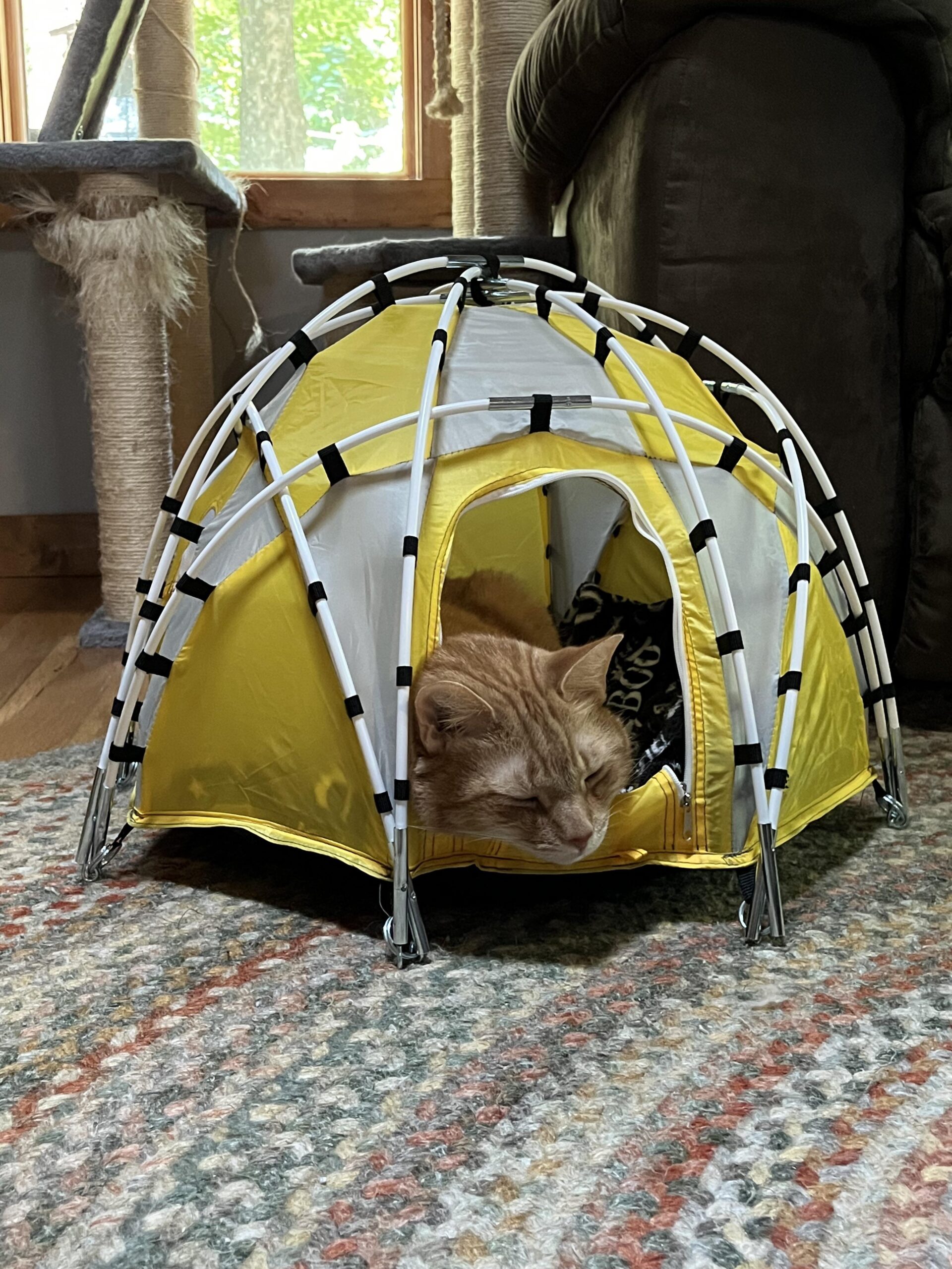 con-tent-ment-cutetropolis