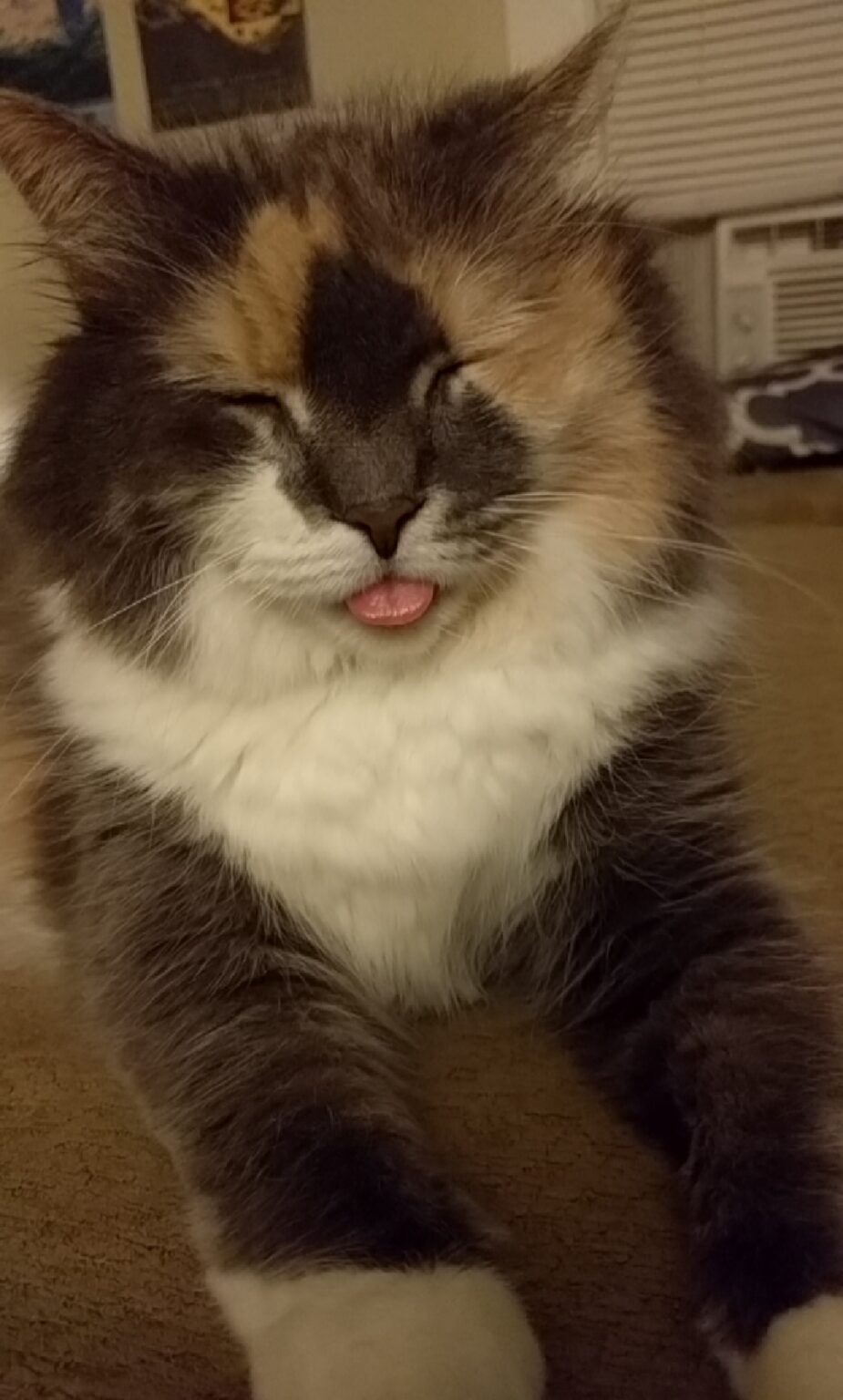 tongue-out-tuesday-cutetropolis