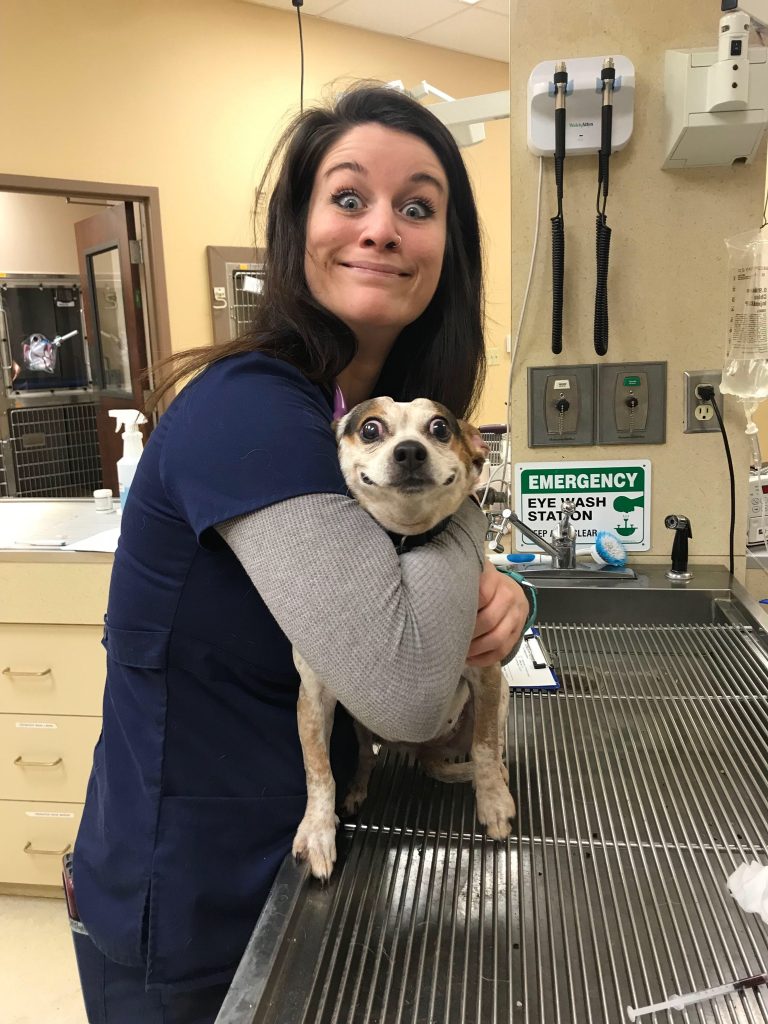 veterinarian and dog smile