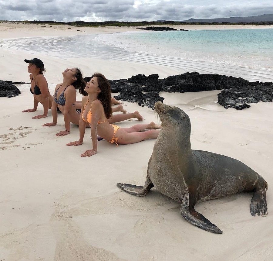 sea lion and women on beach
