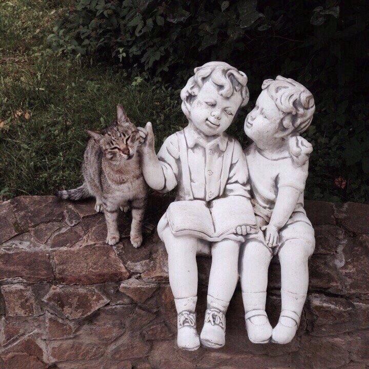 cat and statue