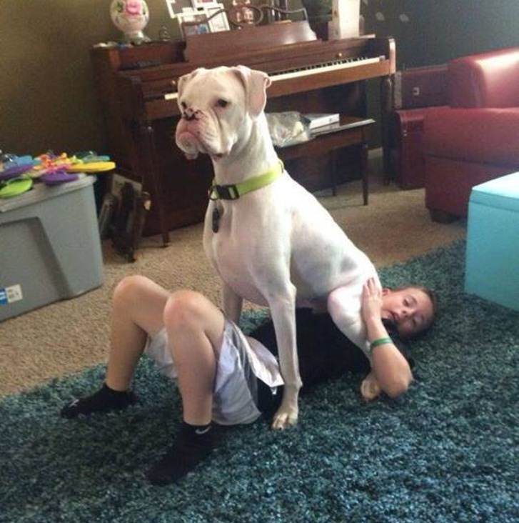 dog sits on child
