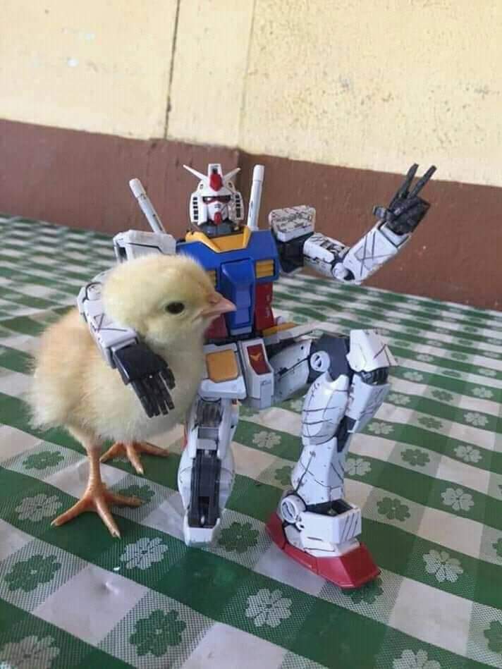 chick and robot toy