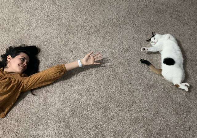 Cat reaches for woman's hand