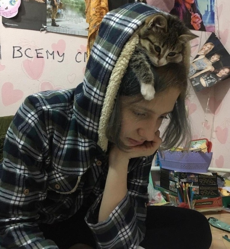 cat hides in girl's hoodie