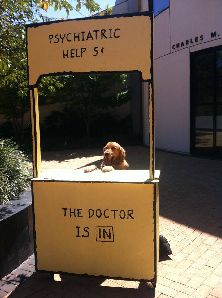 dog at Lucy's psychiatric help booth