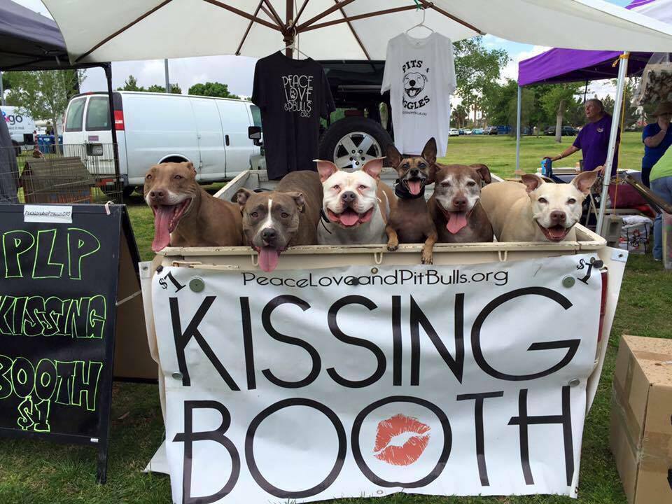 dogs at charity kissing booth