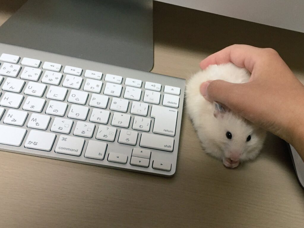 Hand holds hamster next to computer