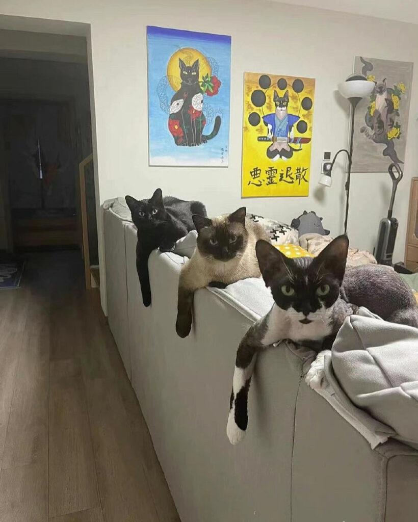 three cats dangle their arms over top of sofa