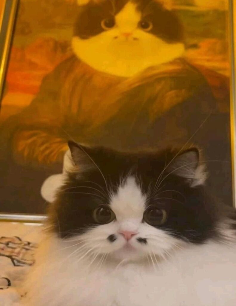 Cat stands in front of Mona Lisa painting with the cat's face on it