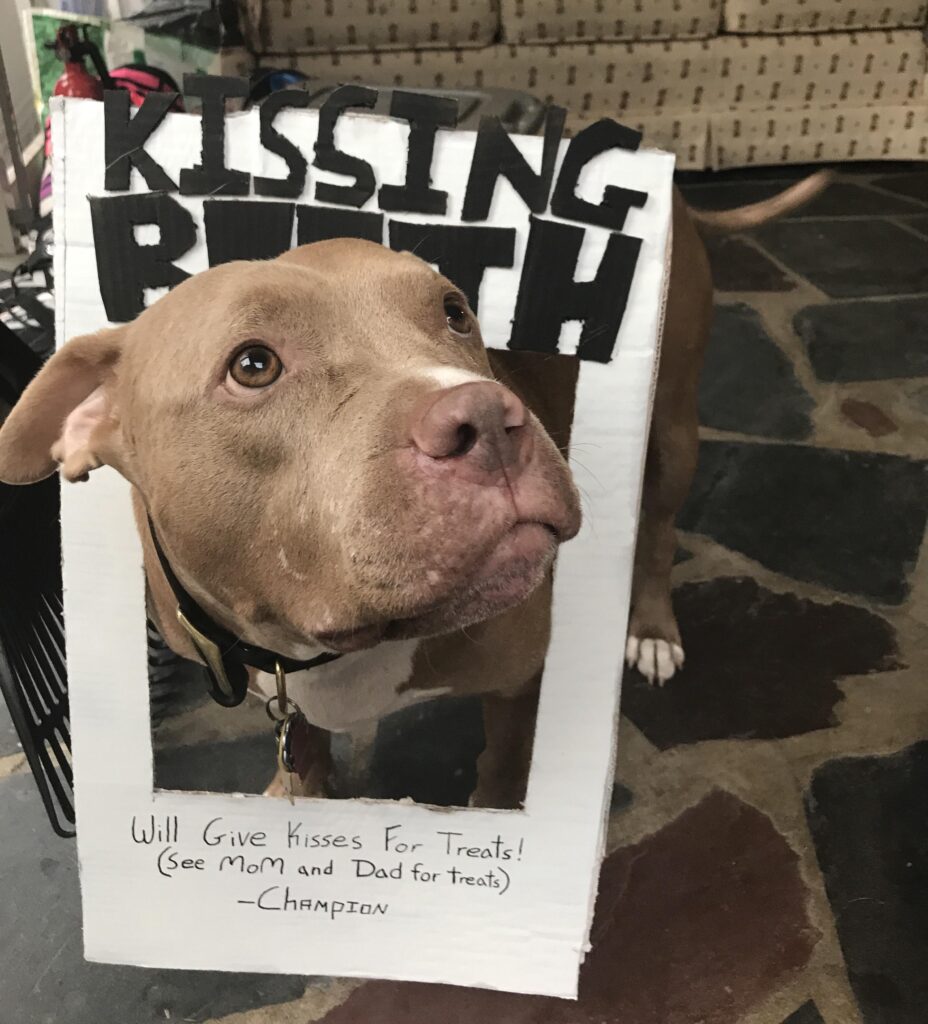 Dog wears sign that says kissing booth, will give kisses for treats.