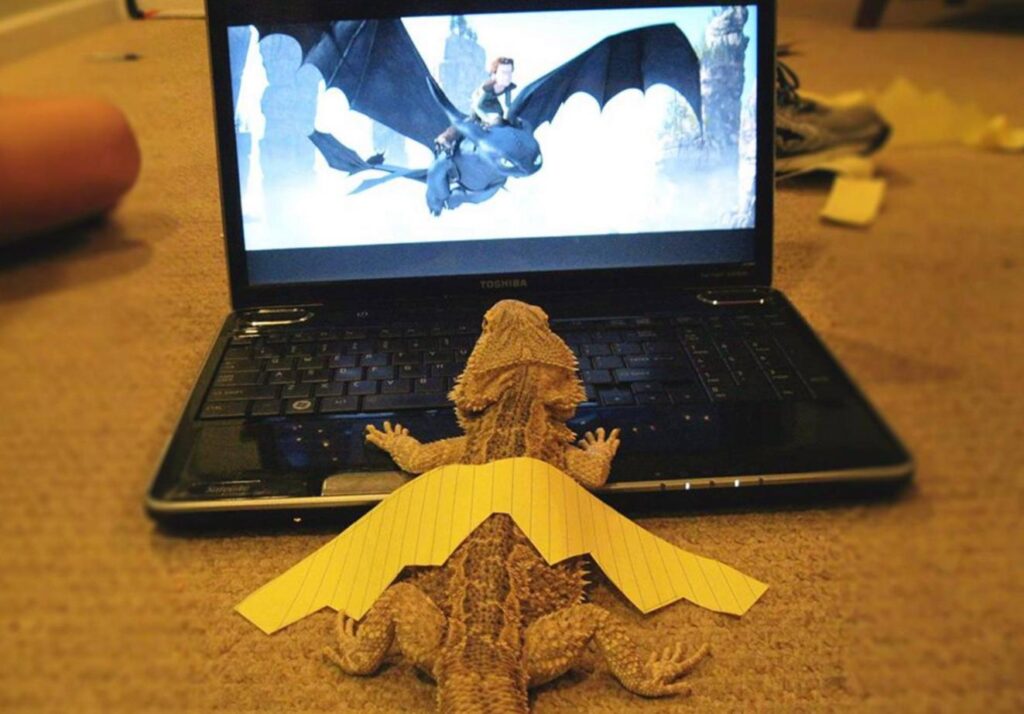 Lizard watches screen displaying flying dragon from 'how to train your dragon.' the lizard wears paper wings on its back. 