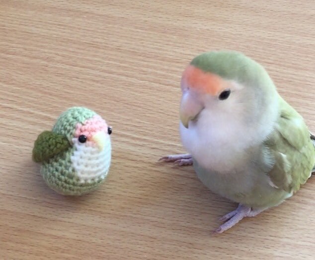 Bird poses next to smaller crocheted bird.  