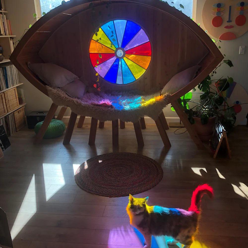 Cat stands in rainbow beam cast by eye-shaped glass window