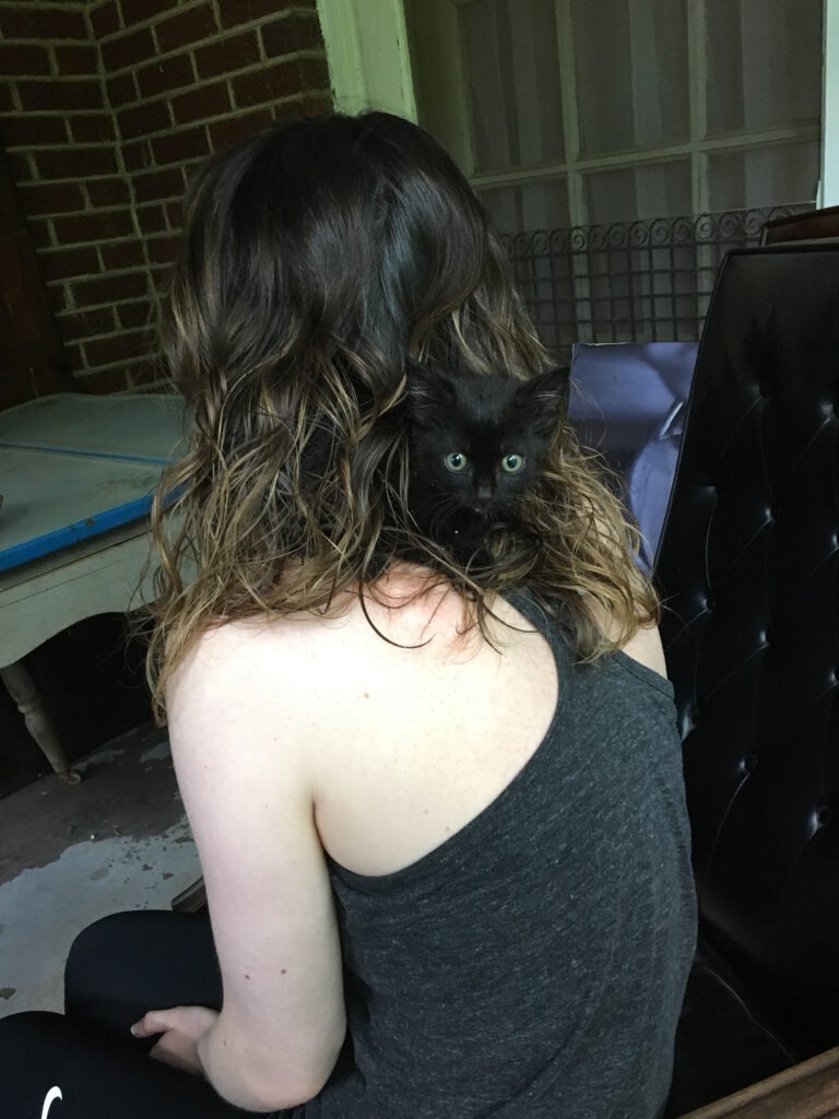 Cat hides in woman's hair