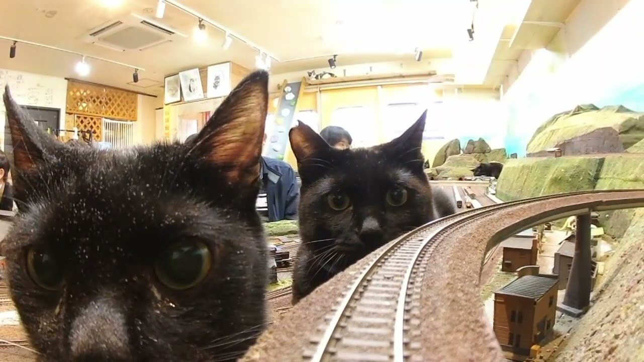 Links: We’ve Got a Train to Catch – CUTETROPOLIS
