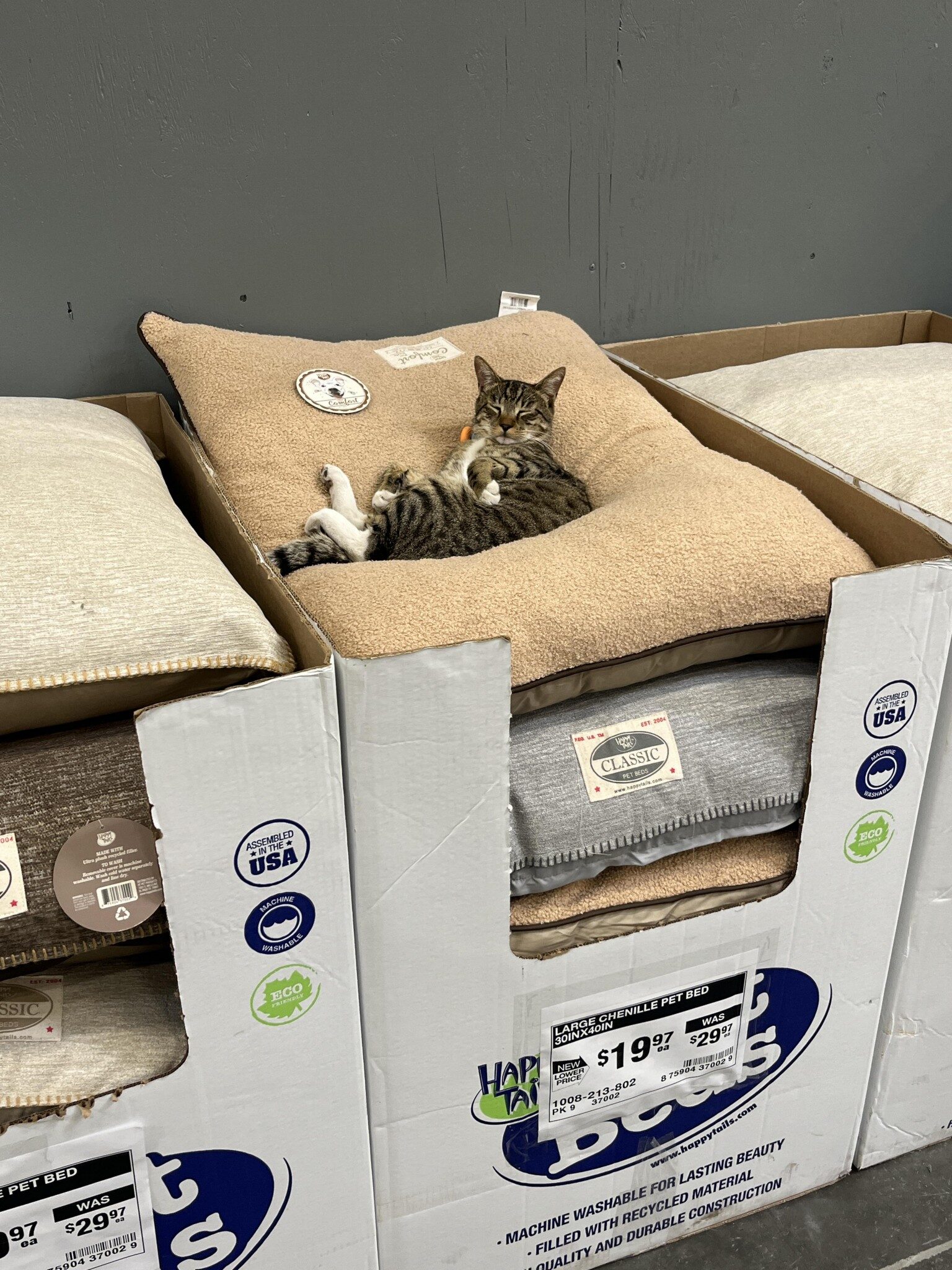 Cat rests on top of a large display of cushions in a store