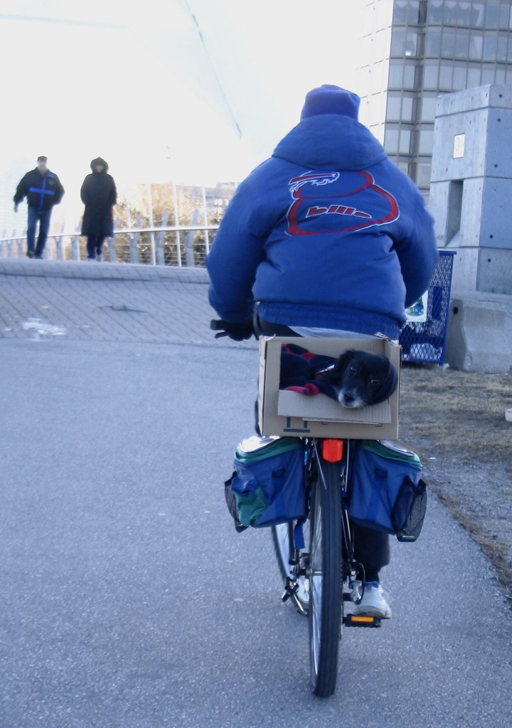 Please tip your driver! small dog sits in a box attached to a bicycle rack. The bicycle is being pedaled away from us by a man in a puffy blue parka