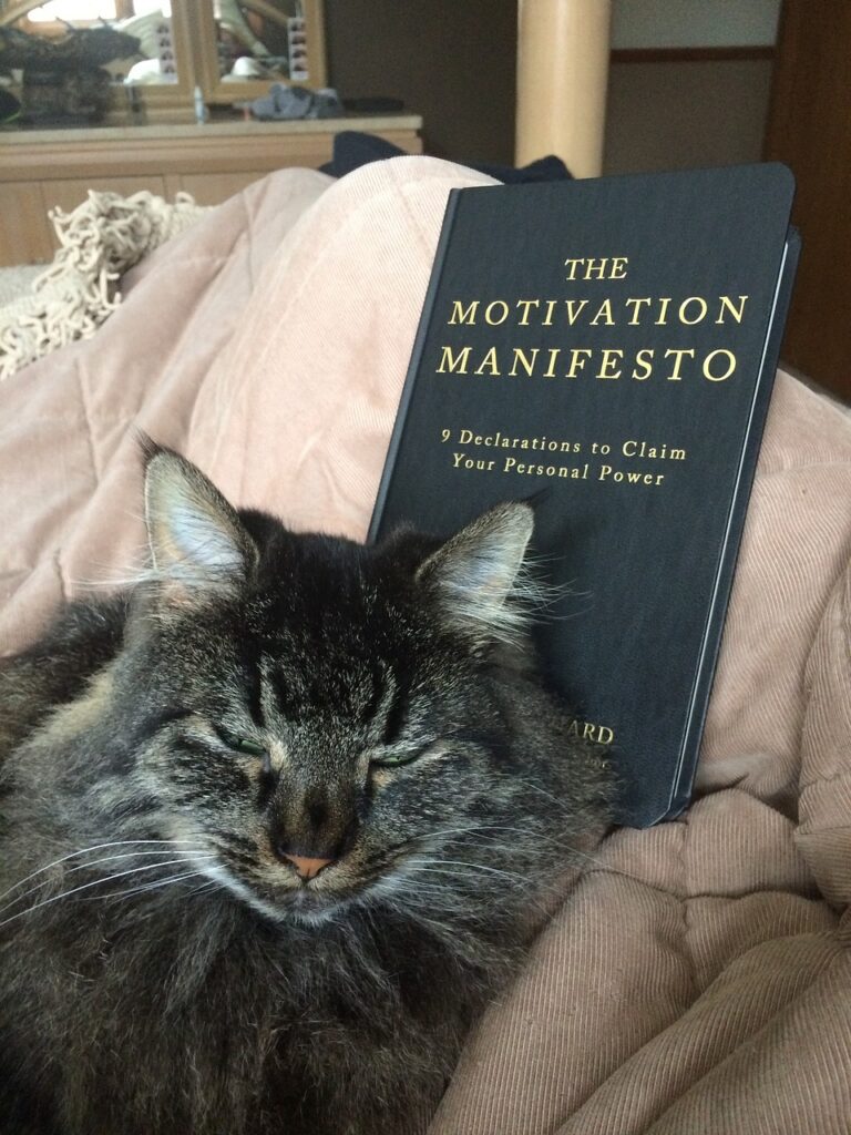 Gray cat rests its head upon a book titled "The Motivation Manifesto"