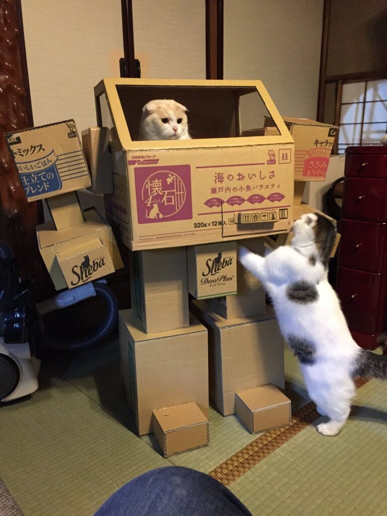 Cat sits inside robot suit made from cardboard boxes. At the base of the suit, another cat reaches inside.