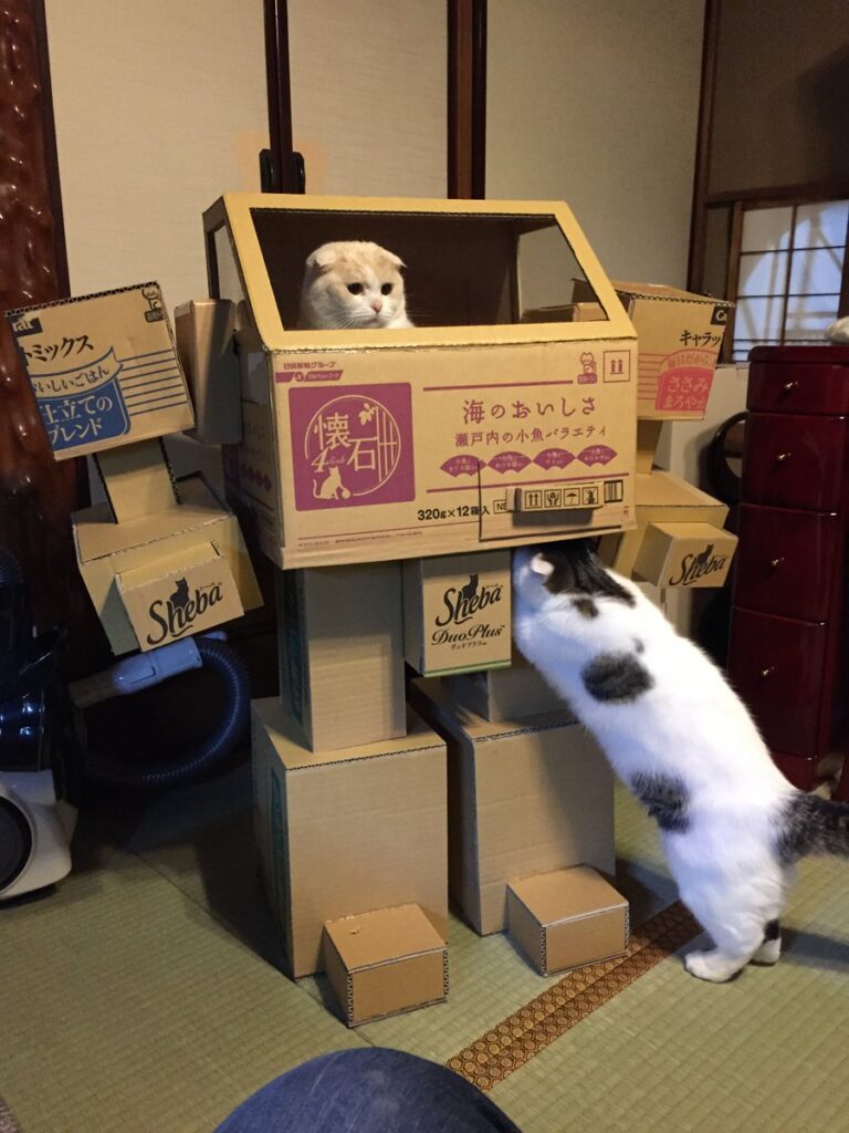 Cat sits inside robot suit made from cardboard boxes. At the base of the suit, another cat reaches inside.