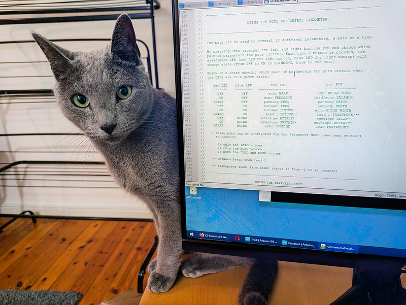 Cat with dark grey fur and green eyes peeks from behind a computer monitor displaying a text file