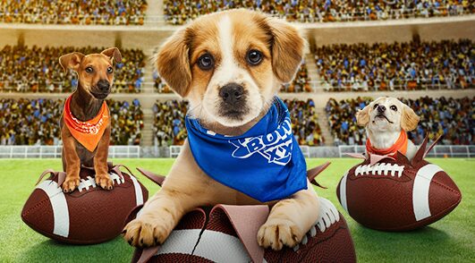 puppies and footballs