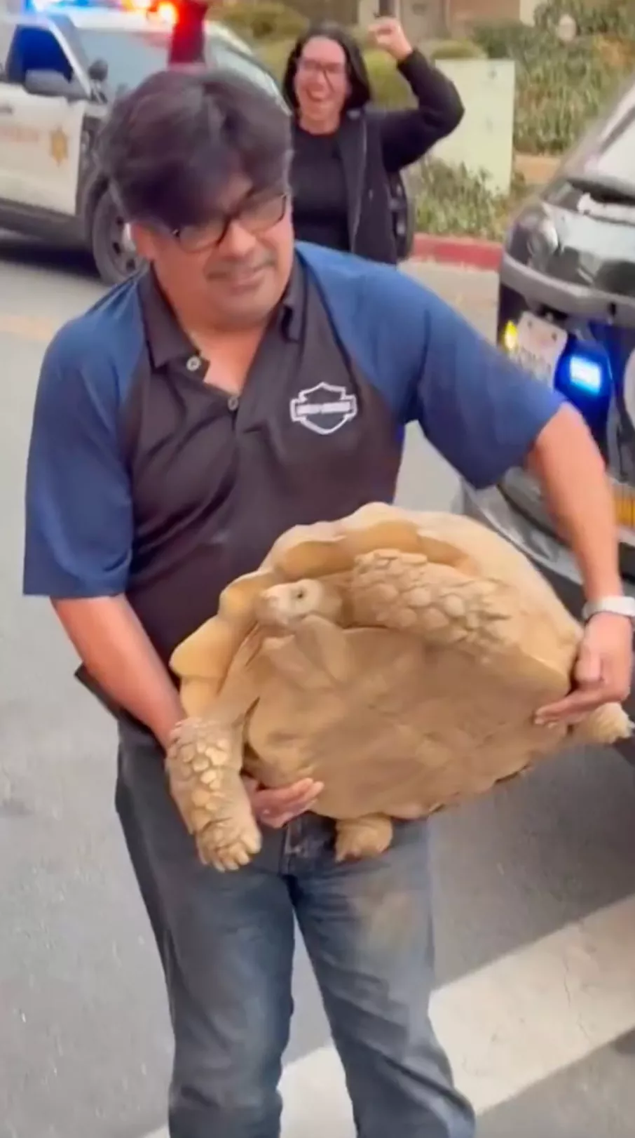 Man carries rescued tortoise