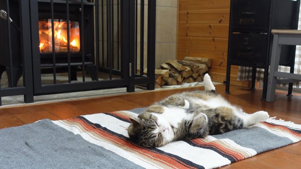 Black and white cat lies on its back in front of a wood burning stove.