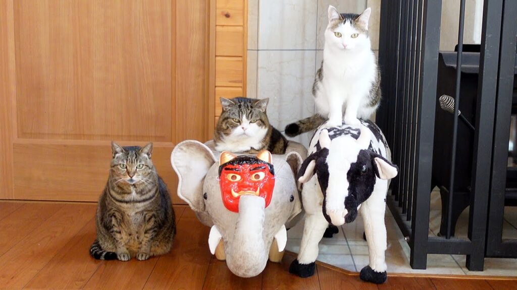 Three cats pose in a row. the leftmost cat sits on the floor, the center cat in a stuffed elephant wearing a red Japanese ogre mask, and the rightmost cat sits on a stuffed cow.