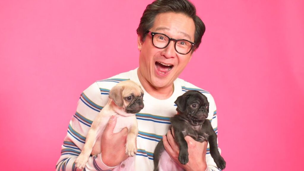 Actor Ke Huy Quan holds two pug puppies, looking very happy about it.