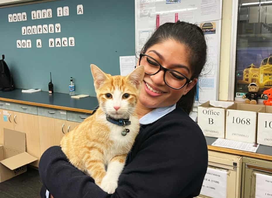 Happy woman holding a cat