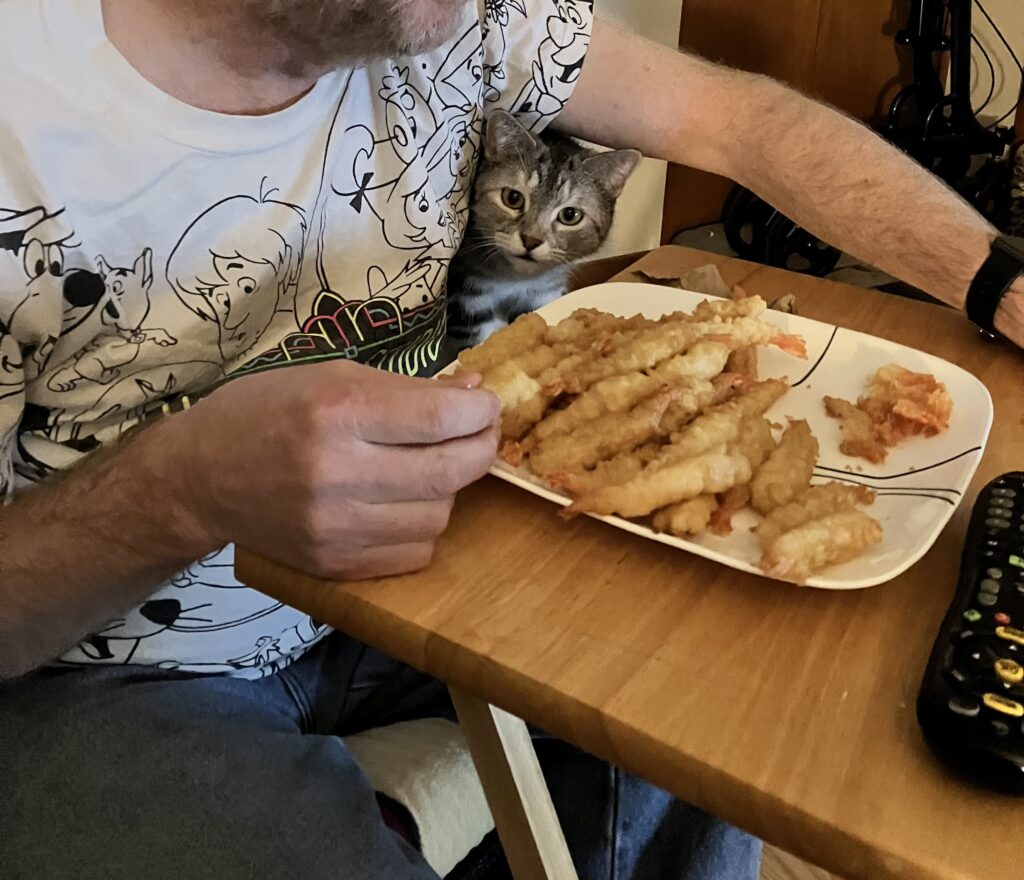 a cat sits next to a man eating battered shrimp from a plate. the cat is very intently watching the shrimp.