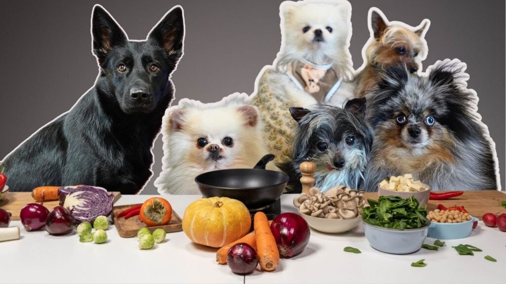 six dogs stand behind a display of different foods