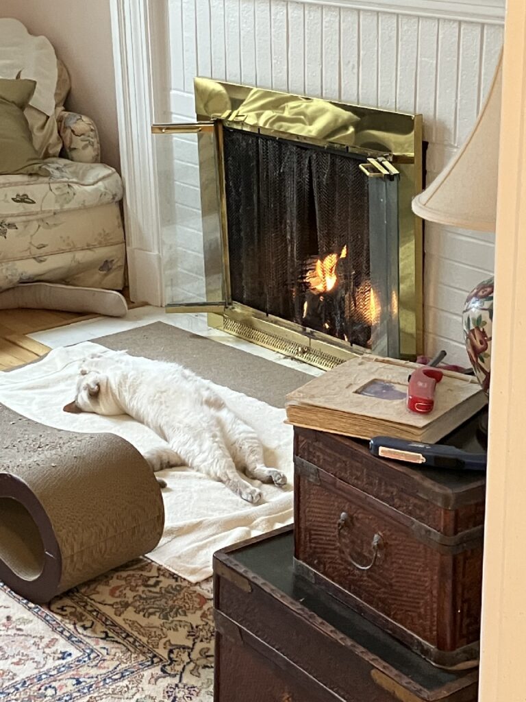 You may snuggle when ready. A white cat lies on its back in front of a fireplace.