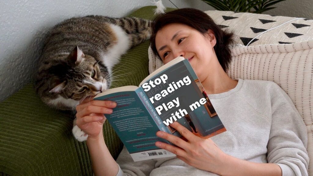 A woman tries to read a book while a cat tries to interrupt her. Superimposed on the book cover is "Stop reading and play with me."