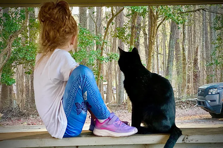 A girl and a black cat sit on the ledge facing away from us looking into a forest of trees