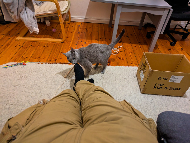We see the legs of a man who is lying on the floor. A small kitten is sniffing his socks.