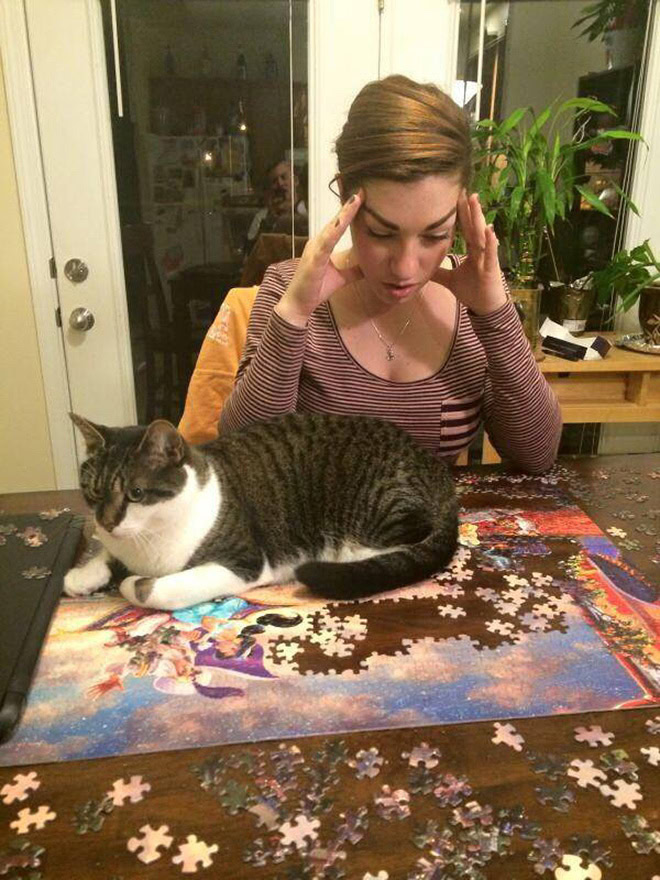 Cat sits on a partially completed jigsaw puzzle while a woman sitting behind her looks frustrated