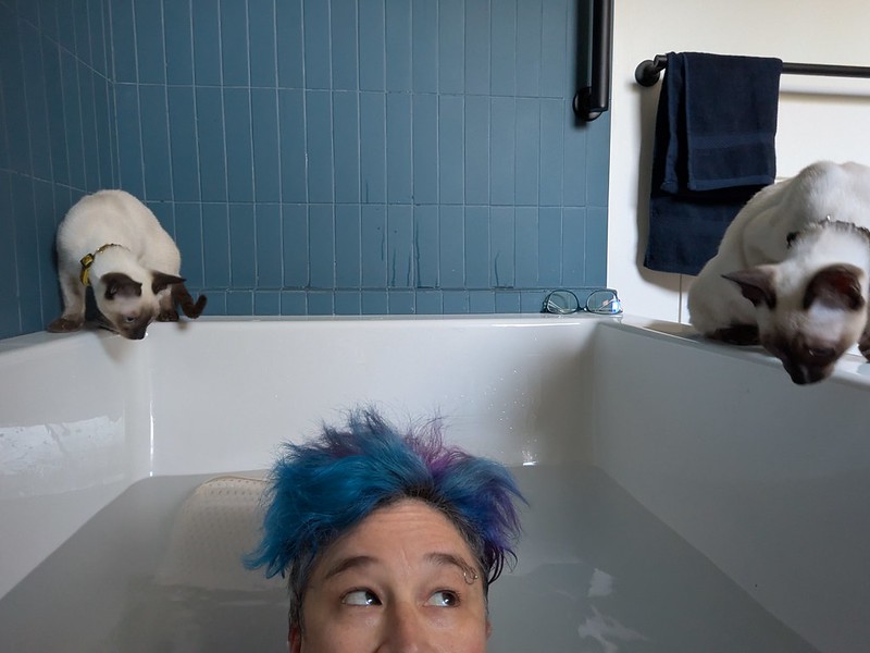 A woman sits in a bathtub, revealing only the top of her head. On the edges of the bathtub, to Siamese cats peer inside.