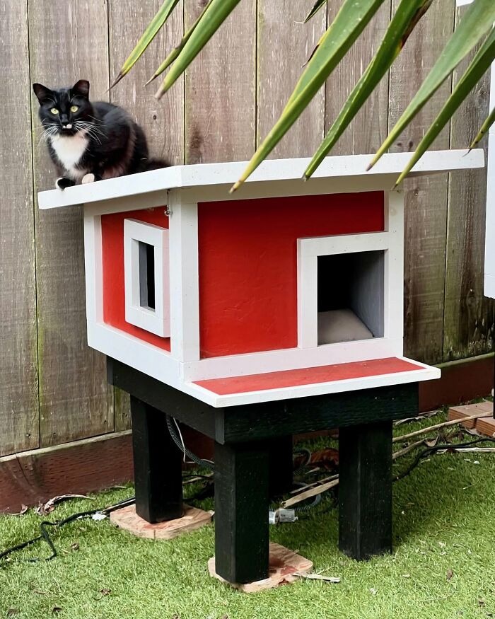 a black and white cat sits on the roof of a custom-built cat house 
