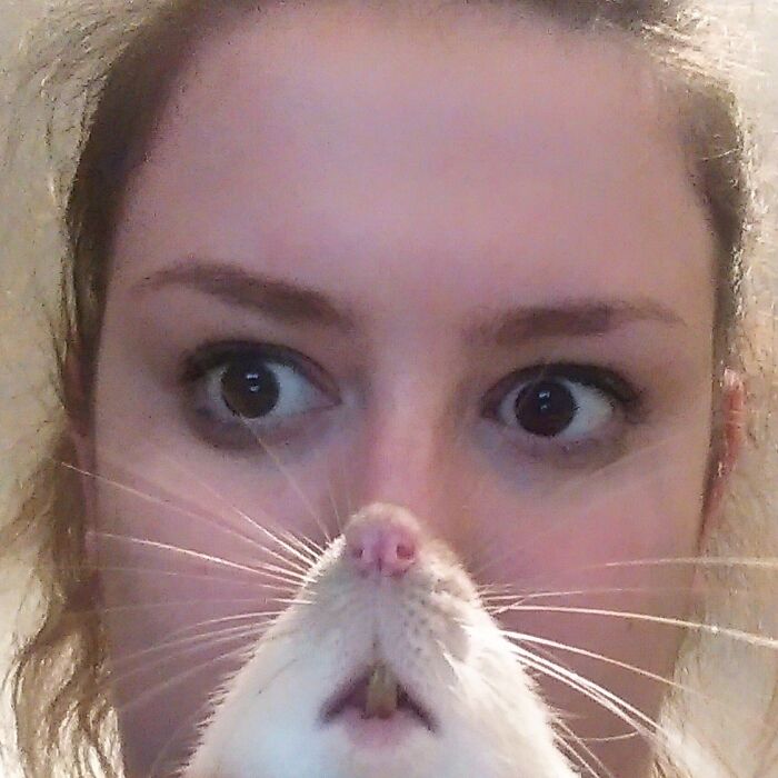 close up of a woman and a pet rat. The two faces are aligned so that the rat's nose and teeth are in front of the woman's nose and mouth.