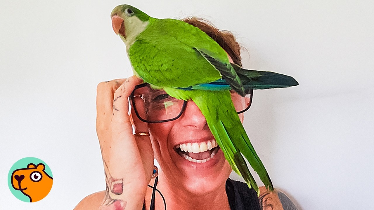A small green bird perches on the glasses of a laughing woman