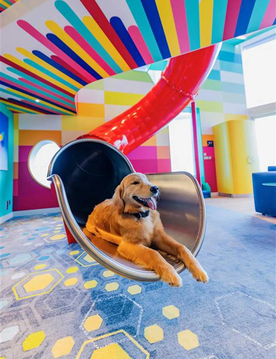 Golden retriever dog relaxes in a large futuristic chair inside a colorful room with a carpet pattern with hexagons and a large red tube in the background