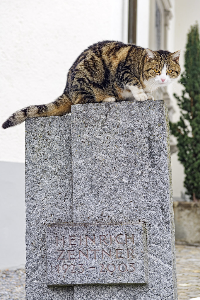 a striped cat crouches on top of a tall headstone.