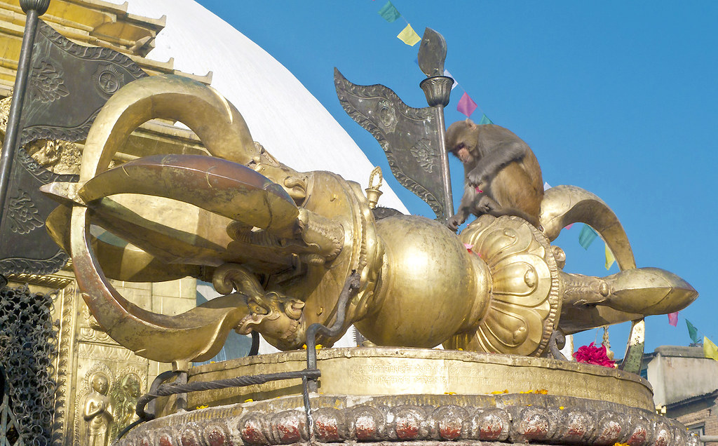 A monkey sits on top of an elaborate gold decoration at the Swayambunath Buddhist stupa (also known as the Monkey Temple)