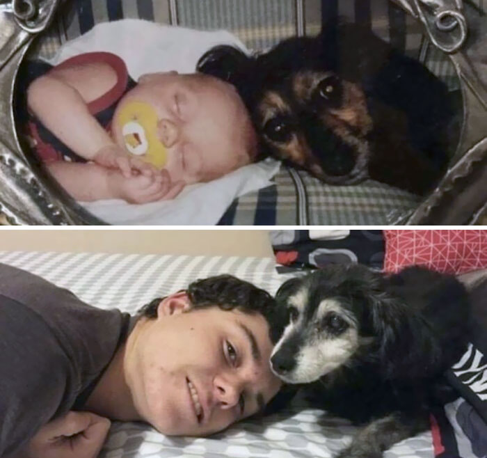 Two photos of the same boy and dog, taken years apart. In the first the boy is a baby and the dog has black fur; in the second the boy is a teen and the dog has grey fur. 