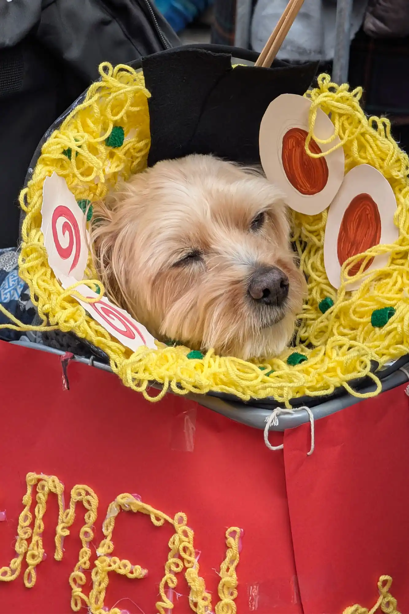 Dog wearing a costume that looks like a bowl of ramen soup