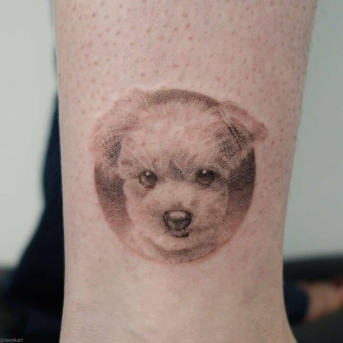 Photo of a tattoo depicting the head of a dog rendered in a photorealistic fashion.