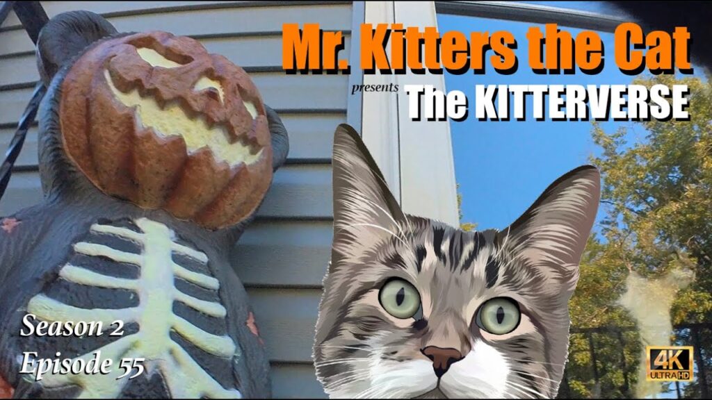 A title screen from the YouTube video series Mr. Kitters the Cat: The Kitterverse, showing a close-up of a plastic pumpkin lawn decoration. An illustration of a cat's head is on the right side.